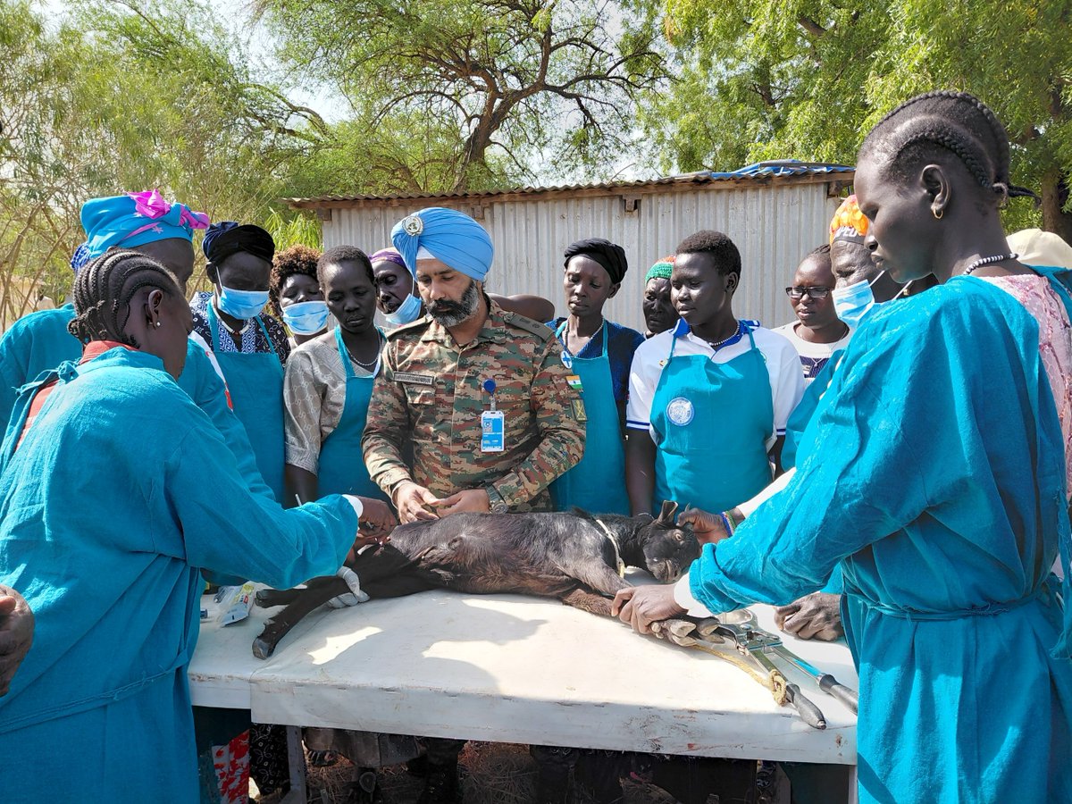 unmissmedia's tweet image. To strengthen community resilience, #UNMISS #Indian 🇮🇳 peacekeepers in Bor have trained 60 women to become animal health workers, empowering them to care for livestock and educate cattle keepers while earning an income for their services in #SouthSudan 🇸🇸

Read more: