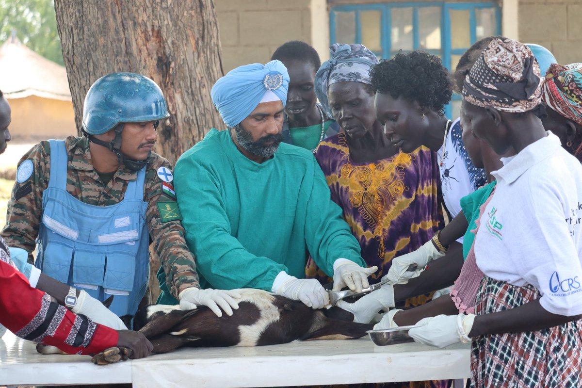 unmissmedia's tweet image. To strengthen community resilience, #UNMISS #Indian 🇮🇳 peacekeepers in Bor have trained 60 women to become animal health workers, empowering them to care for livestock and educate cattle keepers while earning an income for their services in #SouthSudan 🇸🇸

Read more: