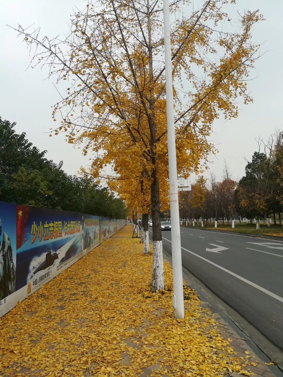 Vladislav tweet media