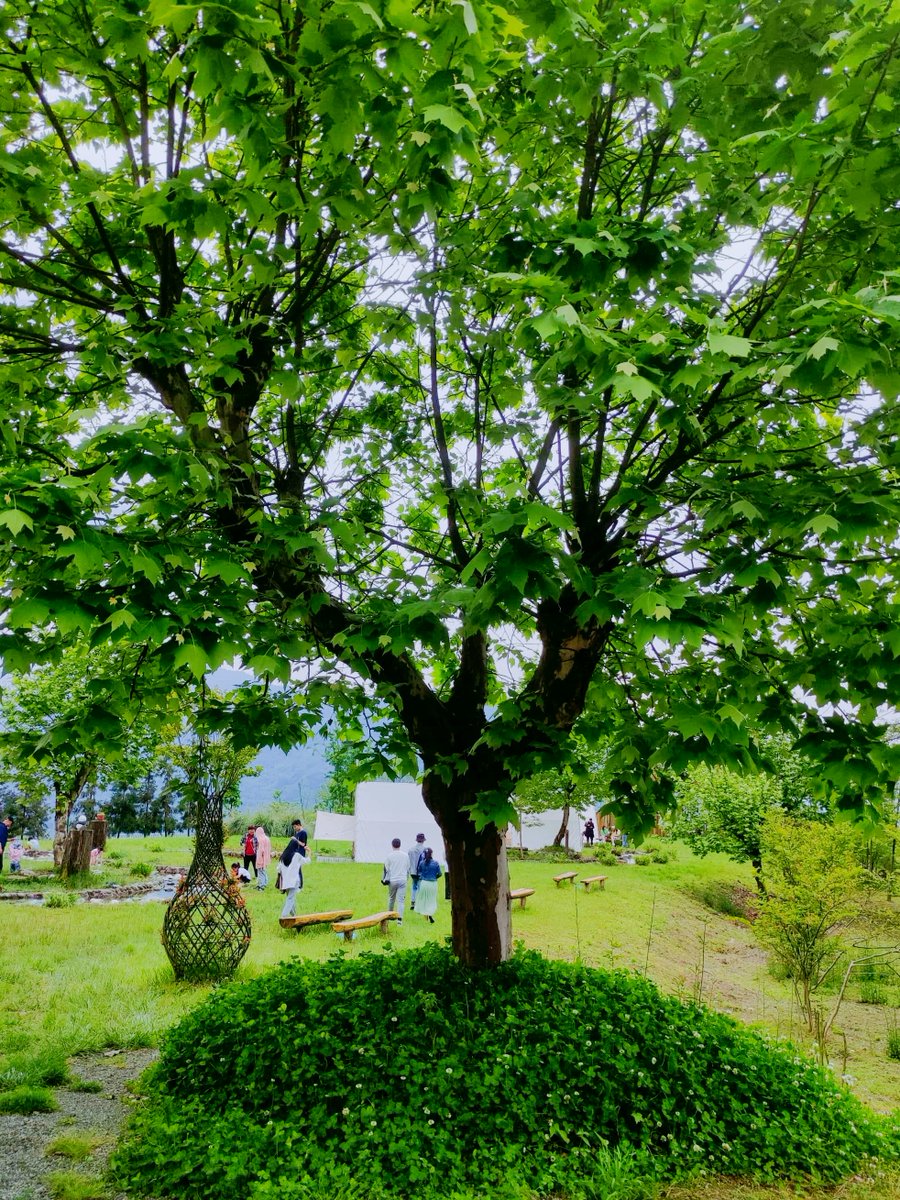 tripcord roblox tweet media