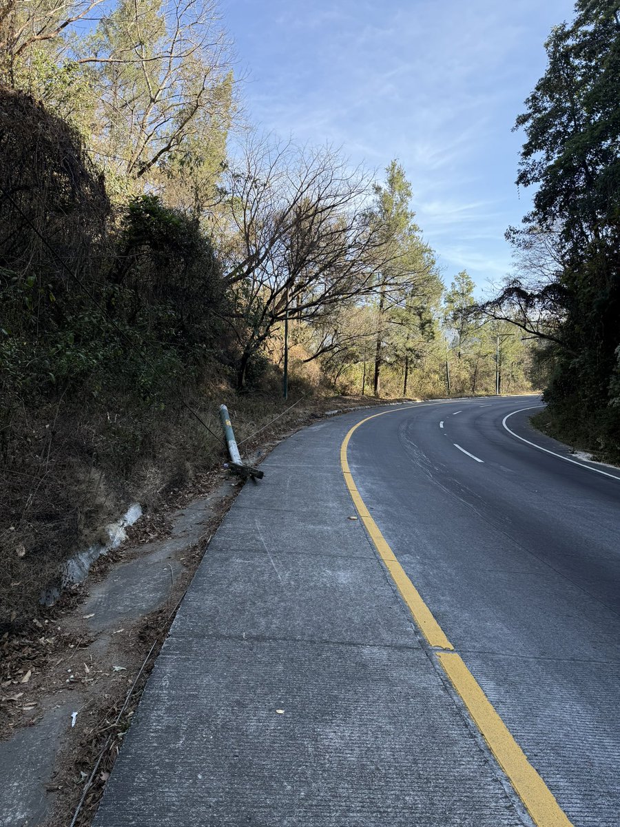 Armando León tweet media