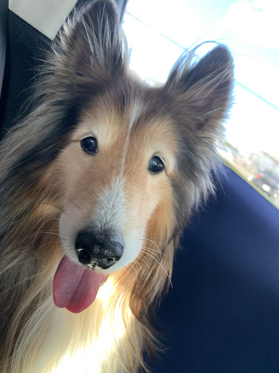 坂上シュウ Syu Sakagami 絵仕事募集中 tweet media