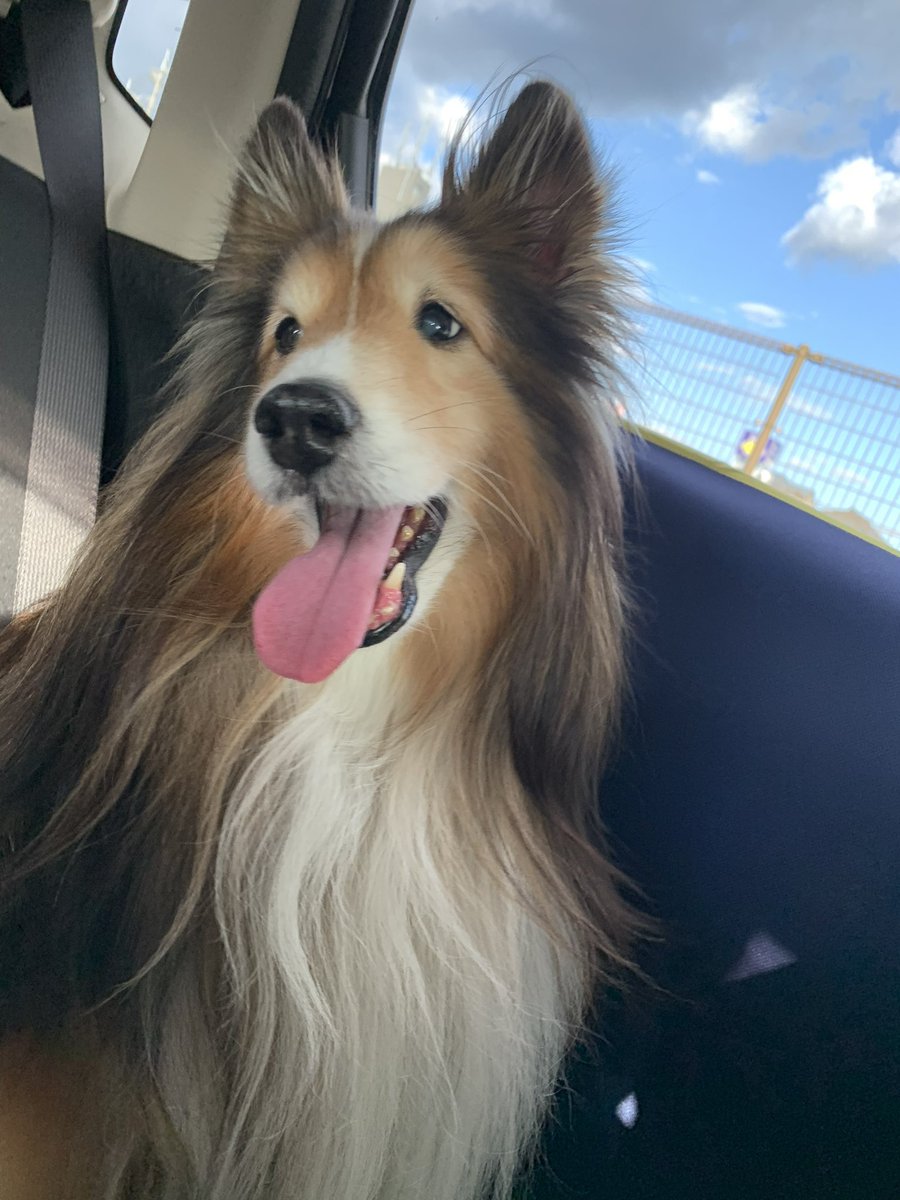 坂上シュウ Syu Sakagami 絵仕事募集中 tweet media