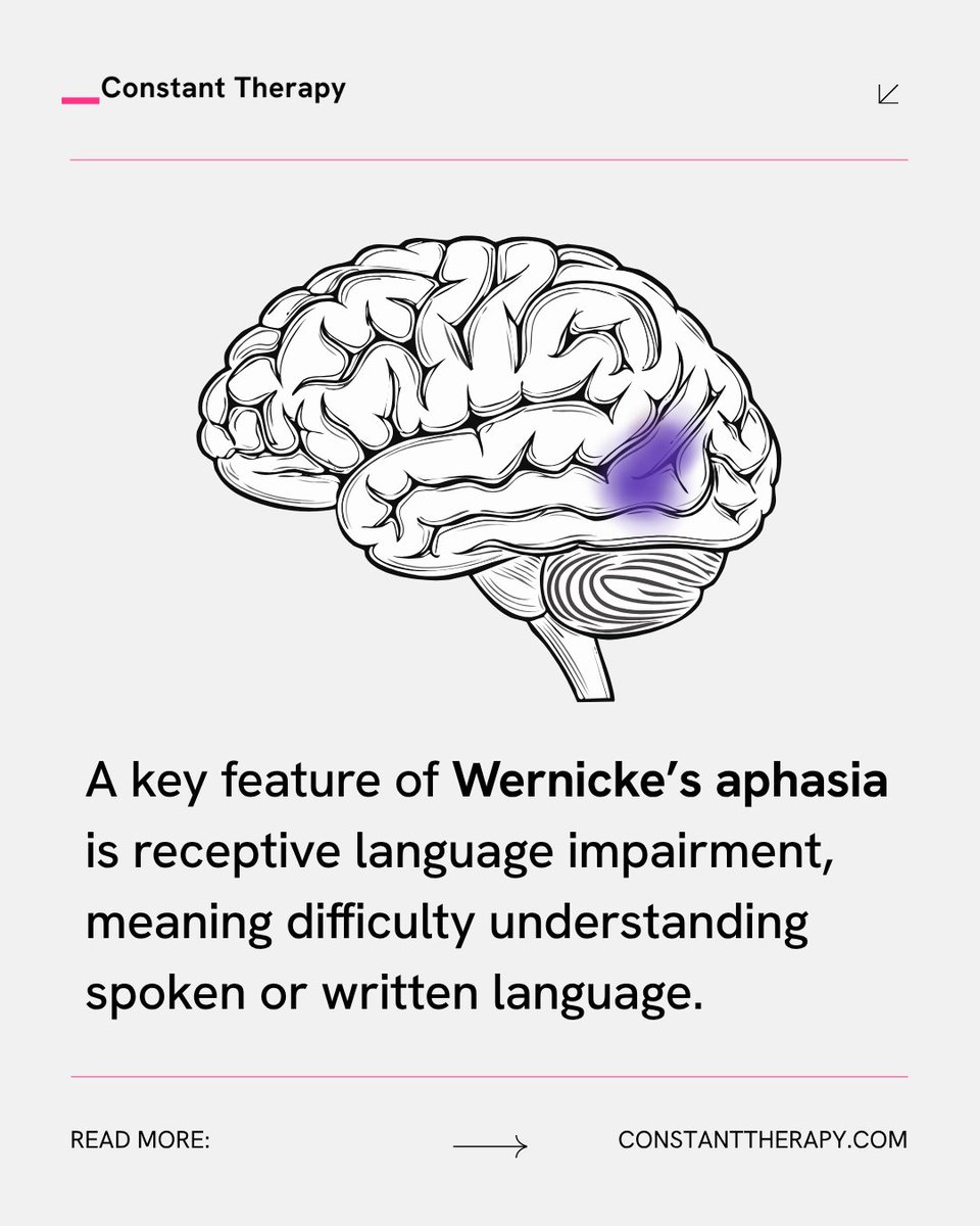 ConstantTherapy's tweet image. Wernicke’s #aphasia is a type of fluent aphasia caused by damage to the posterior of the left temporal lobe, known as Wernicke’s area. This region is critical for language comprehension. #WernickesAphasia primarily affects the ability to understand language.