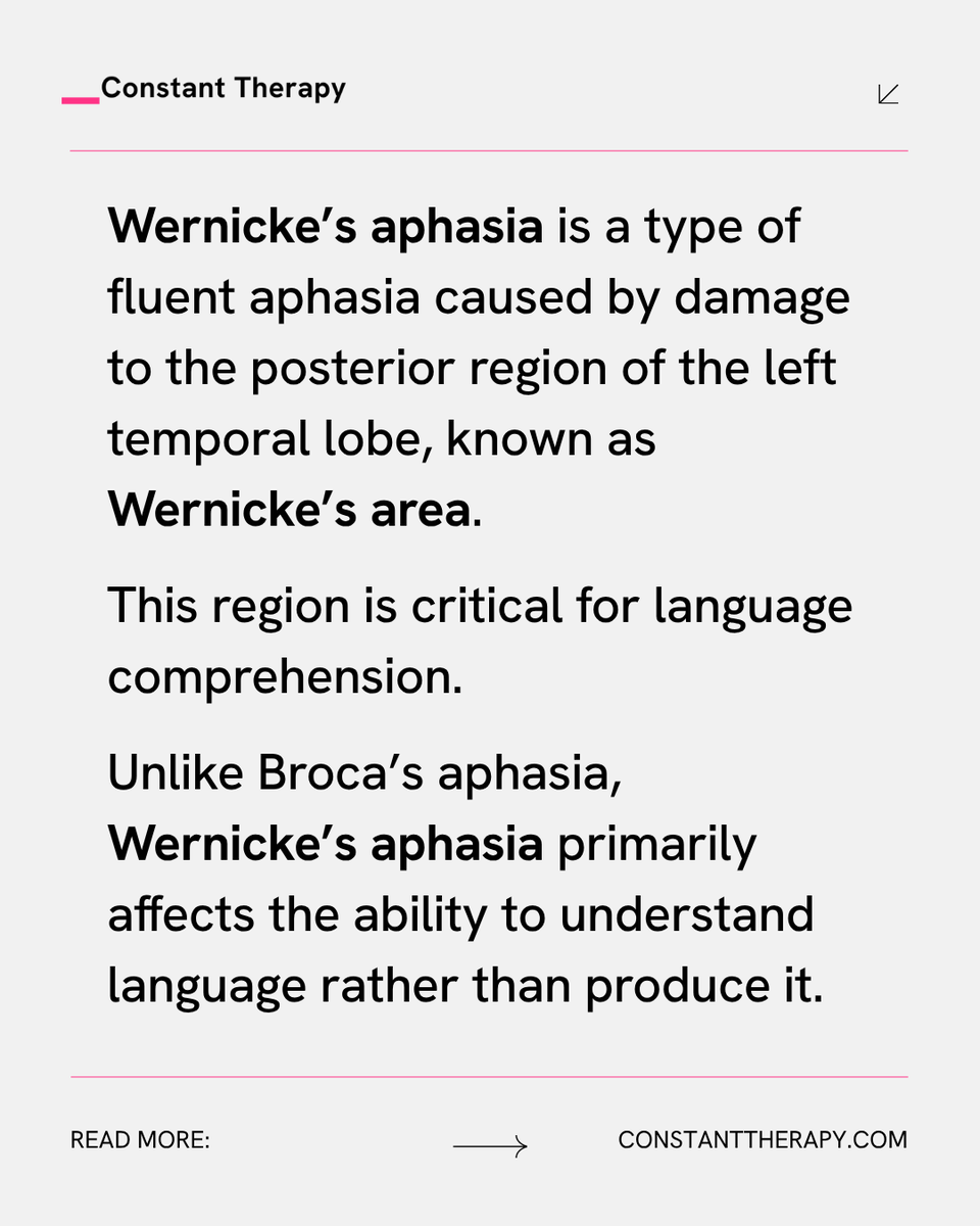 ConstantTherapy's tweet image. Wernicke’s #aphasia is a type of fluent aphasia caused by damage to the posterior of the left temporal lobe, known as Wernicke’s area. This region is critical for language comprehension. #WernickesAphasia primarily affects the ability to understand language.