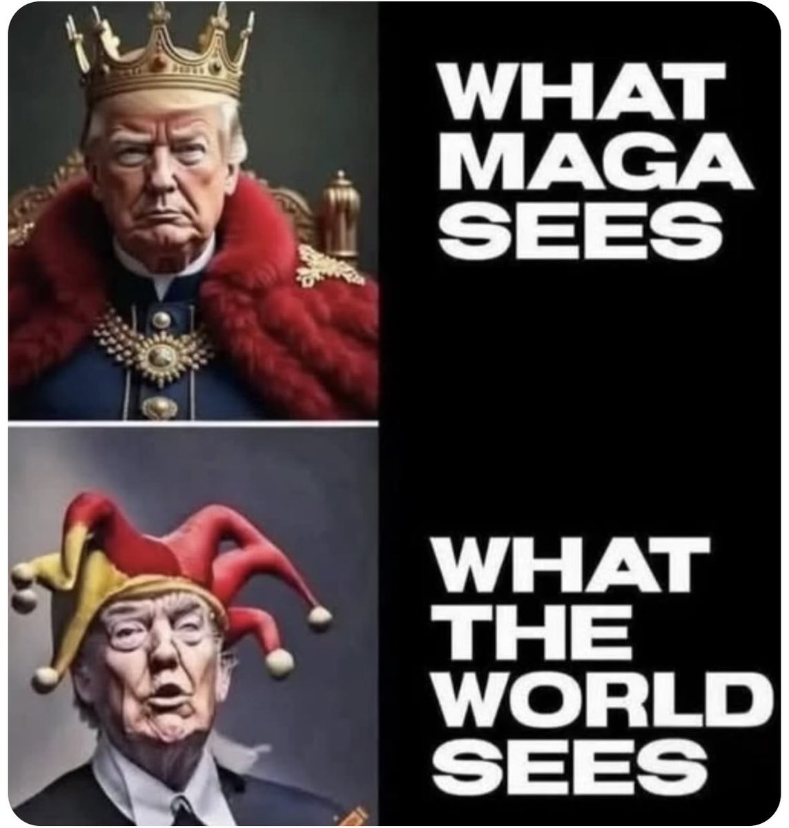 AFriendofGod 🪶🟧💙🇺🇦🐺 tweet media