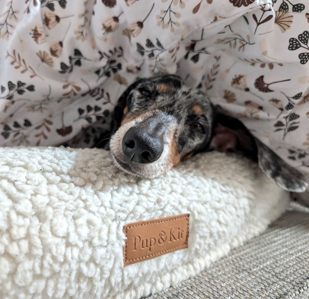 The Squirmy Worm tweet media