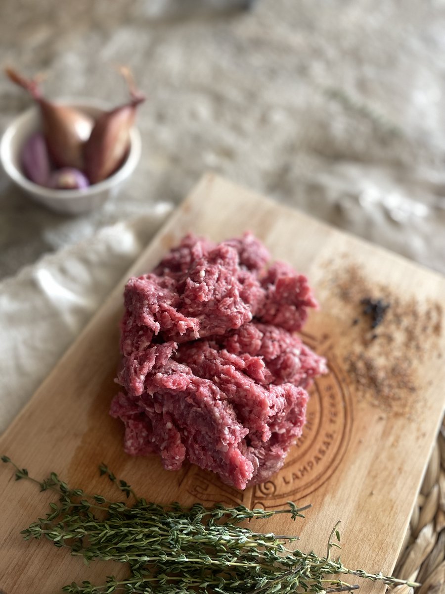 Kaitlyn (Elkins) Olsker tweet media