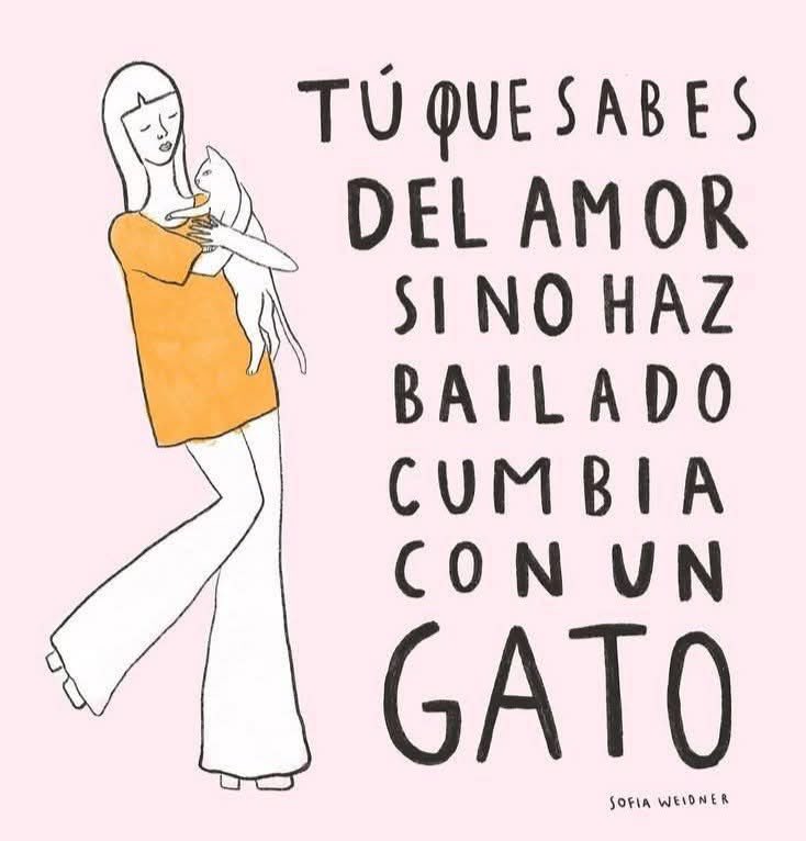 Dilo con gatitoz tweet media