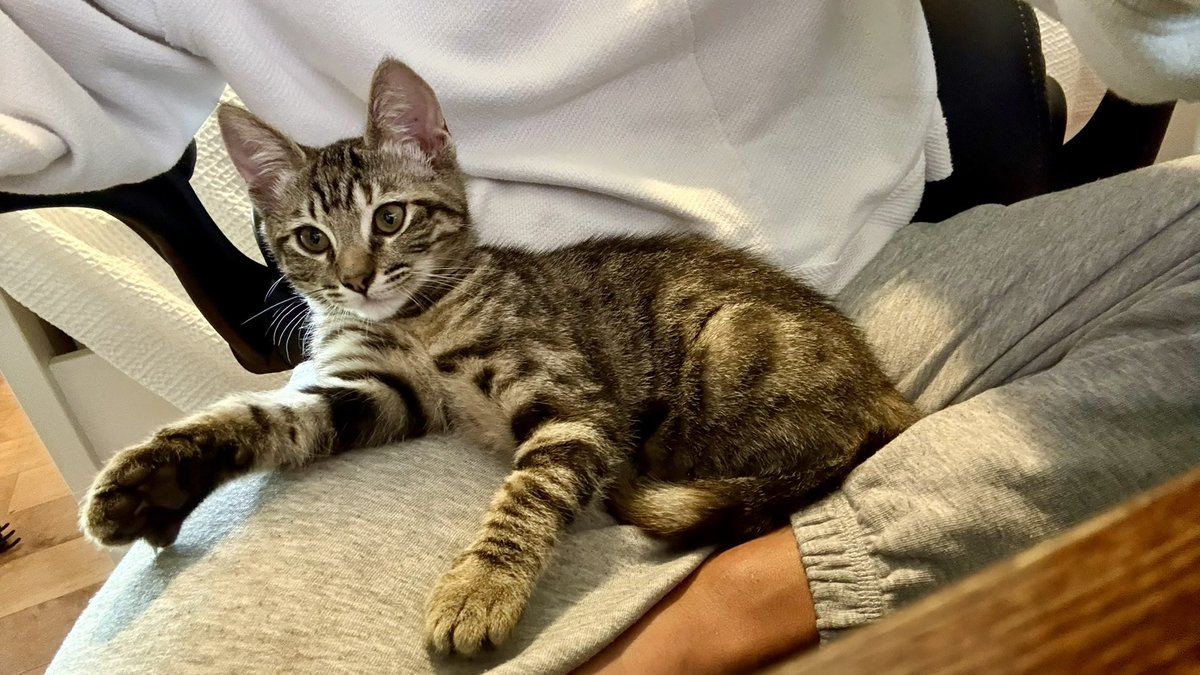 Eager_Beaver tweet media