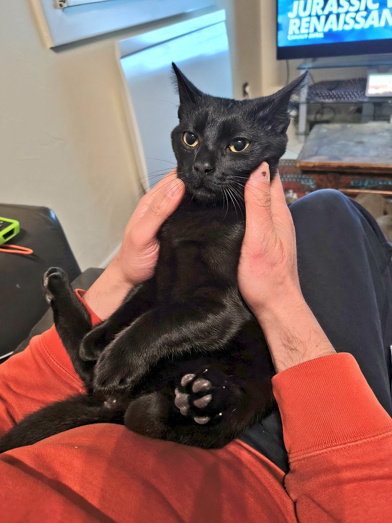 じゃ丸🇱🇧🇯🇵🇫🇷 tweet media