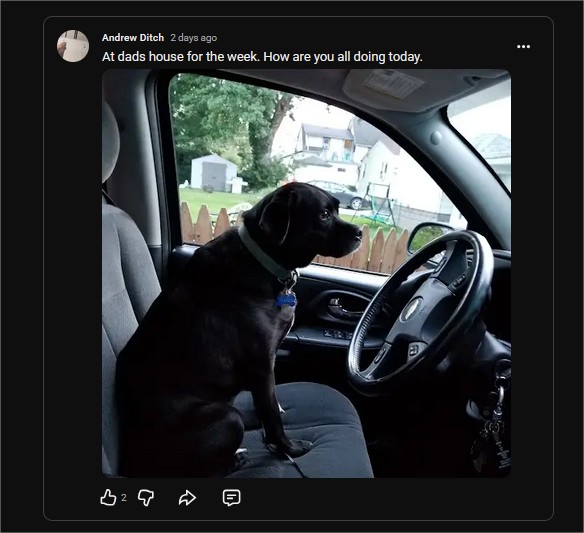 The 'Buzin Faker tweet media