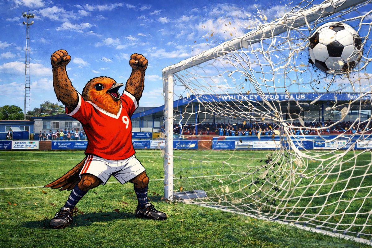 Bay Watch TV tweet media