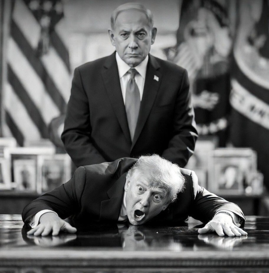 Lukey M Q ☘️🇮🇪🏴 tweet media