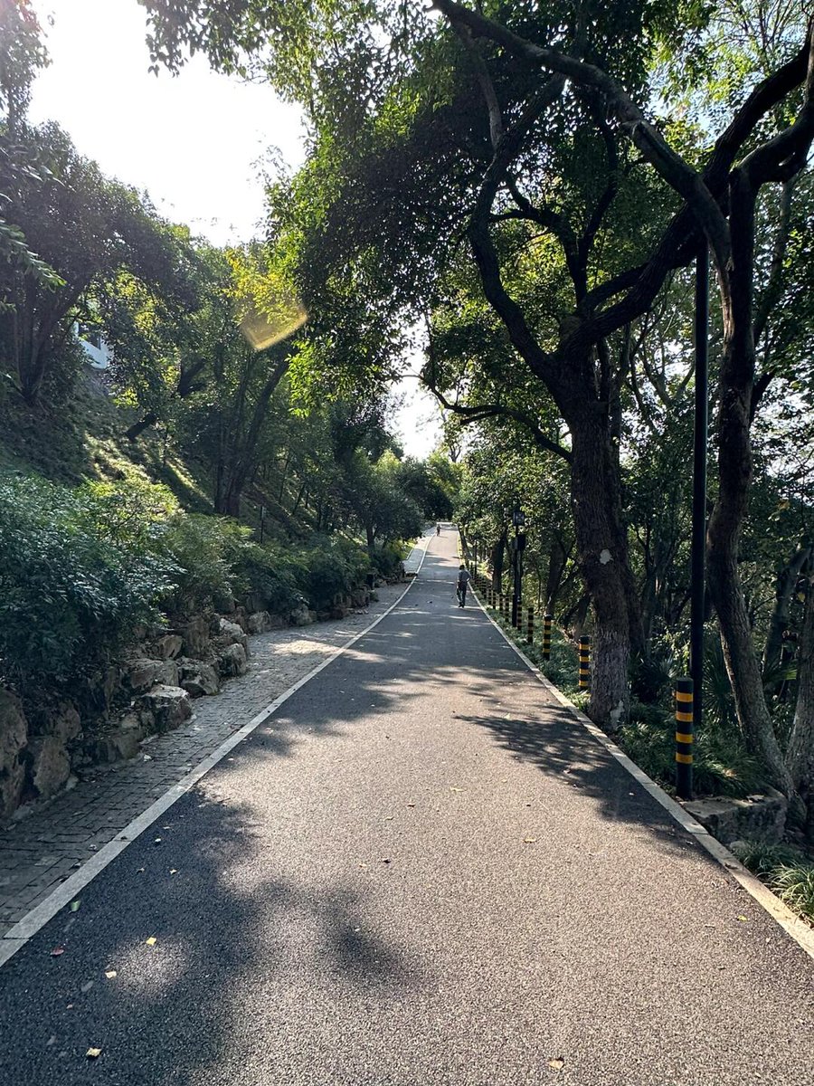 ShanetEmilien's tweet photo. Neighborhood Clean-Up Day!  Join us this Sat, 9 AM at Central Park—bring gloves, a reusable bag, and good vibes! Let’s spruce up our community together. Free snacks for volunteers! Tag a friend   #CommunityLove #KeepOurSpaceTidy https://t.co/pYu9Bh4ffL
