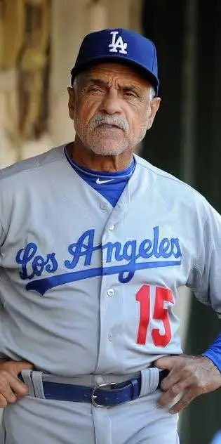 Dodger Fan Weekly tweet media