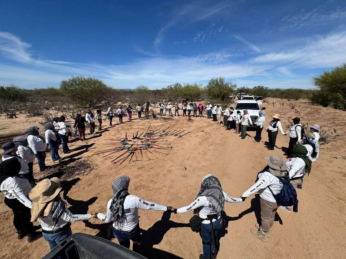 Radio Fórmula Sonora tweet media