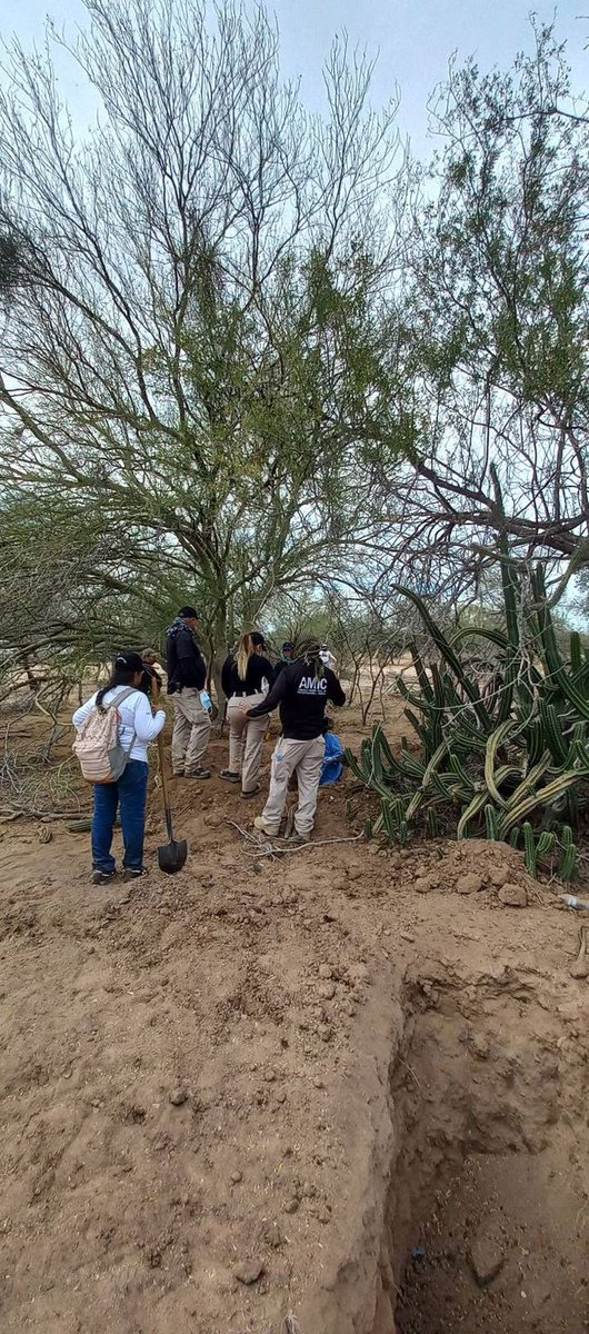 Radio Fórmula Sonora tweet media