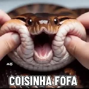 ILA Bolsonaro 🇧🇷💚💛🇧🇷 tweet media