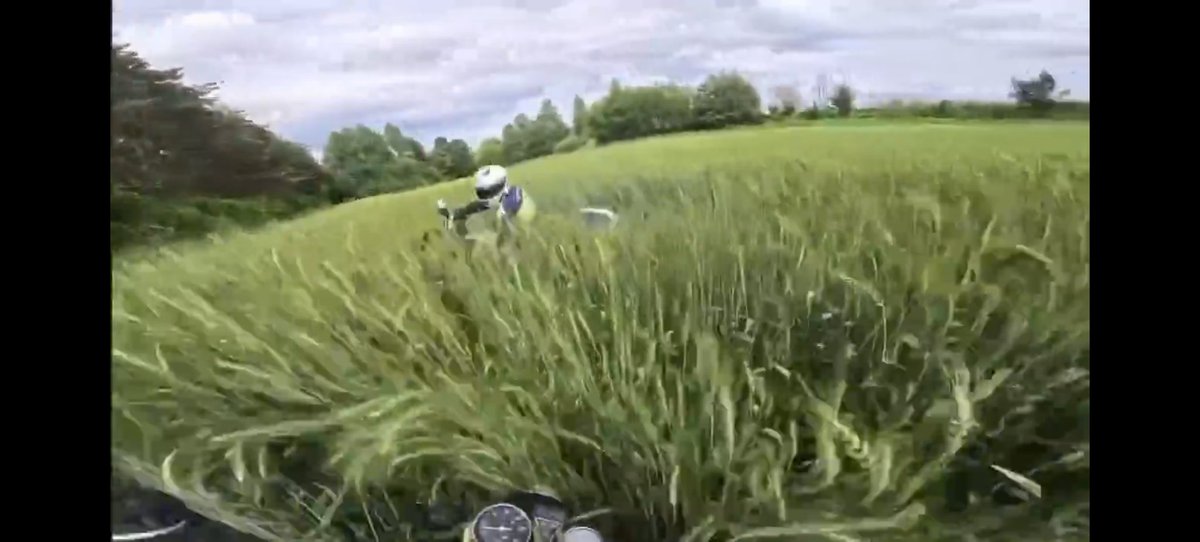 U F O AI tweet media