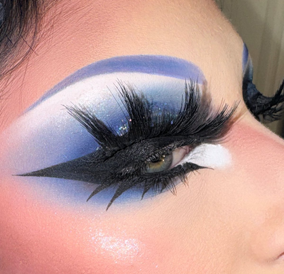 VENUS ENVY tweet media