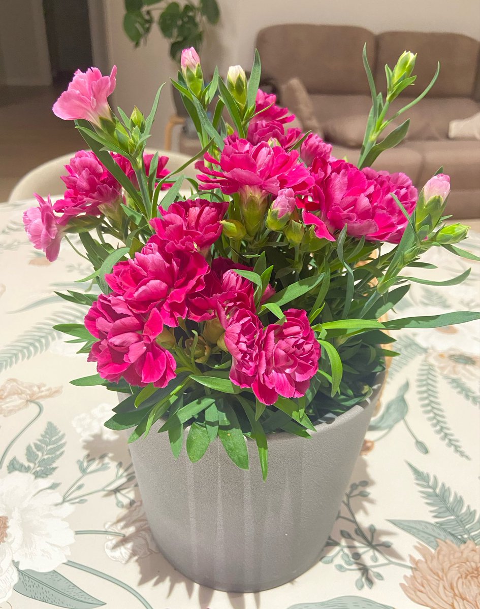 ki-co🇪🇸 tweet media