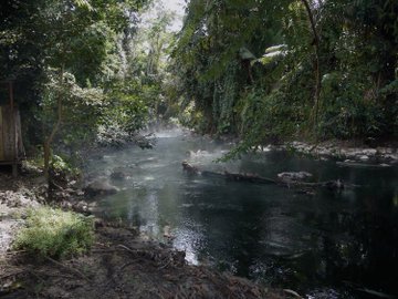 only aesthetic tweet media