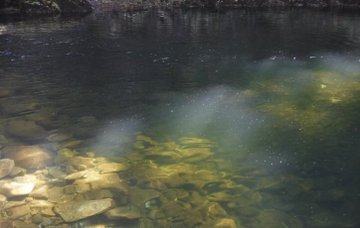 only aesthetic tweet media