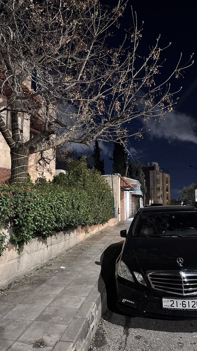 مشاري tweet media