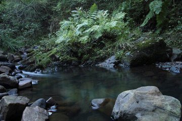 only aesthetic tweet media