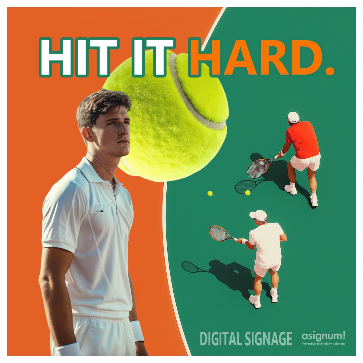 asignum | Interactive Digital Technology Solutions tweet media