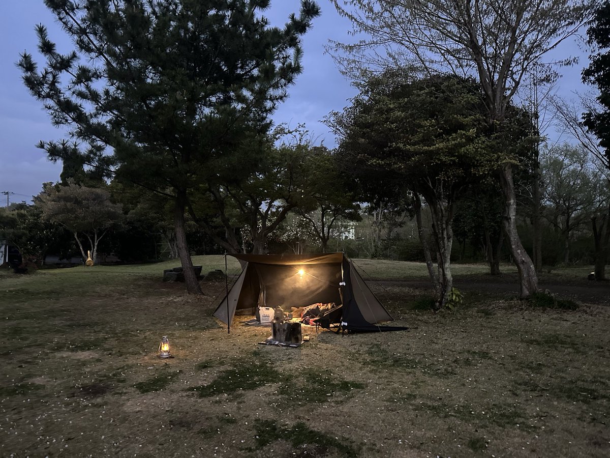 ひろッし🏕#野に放たれた tweet media