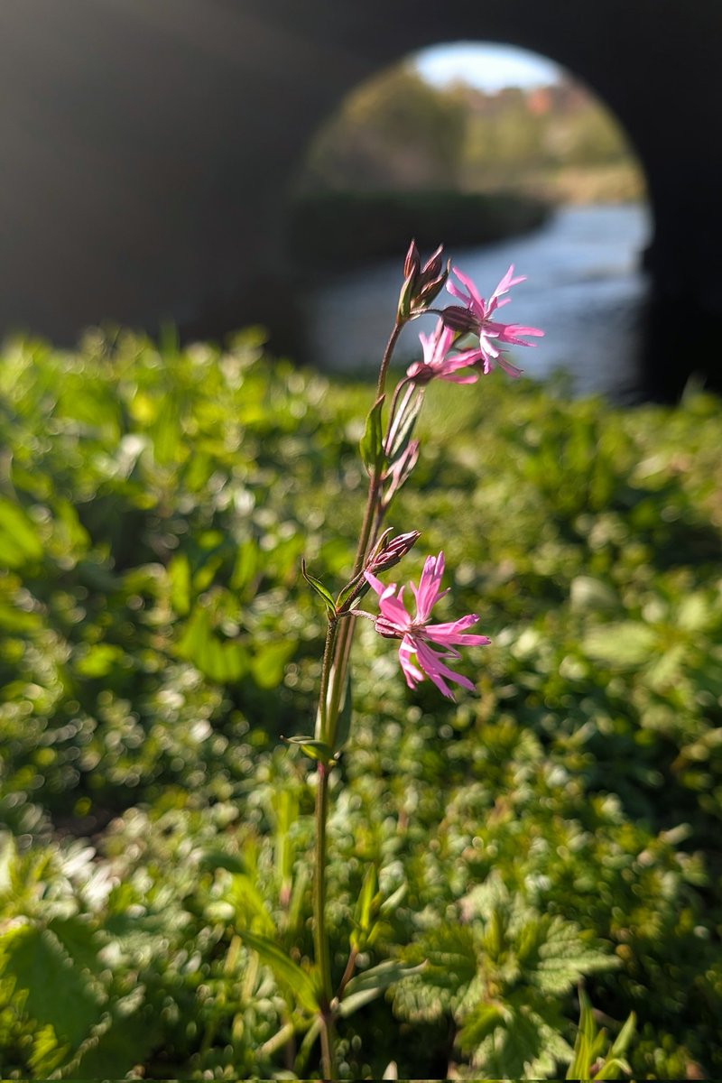 Simon Rose tweet media