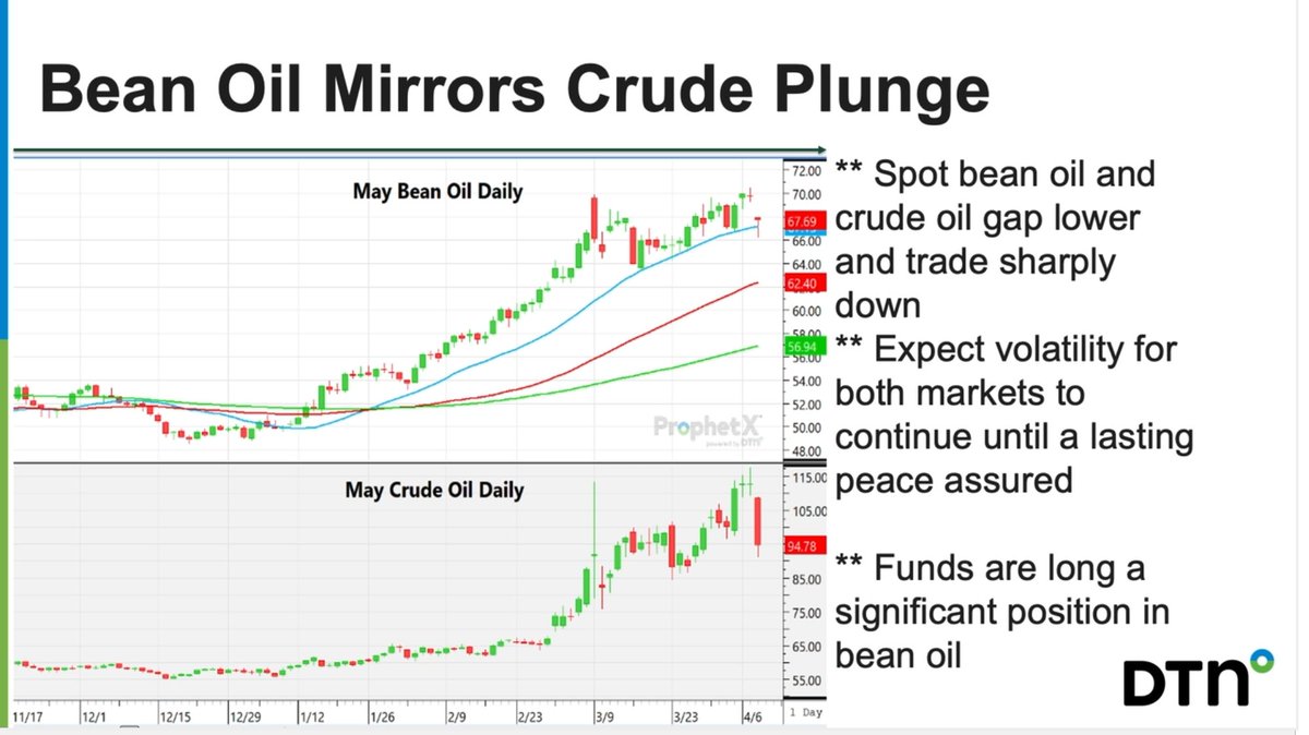 Philip Shaw tweet media