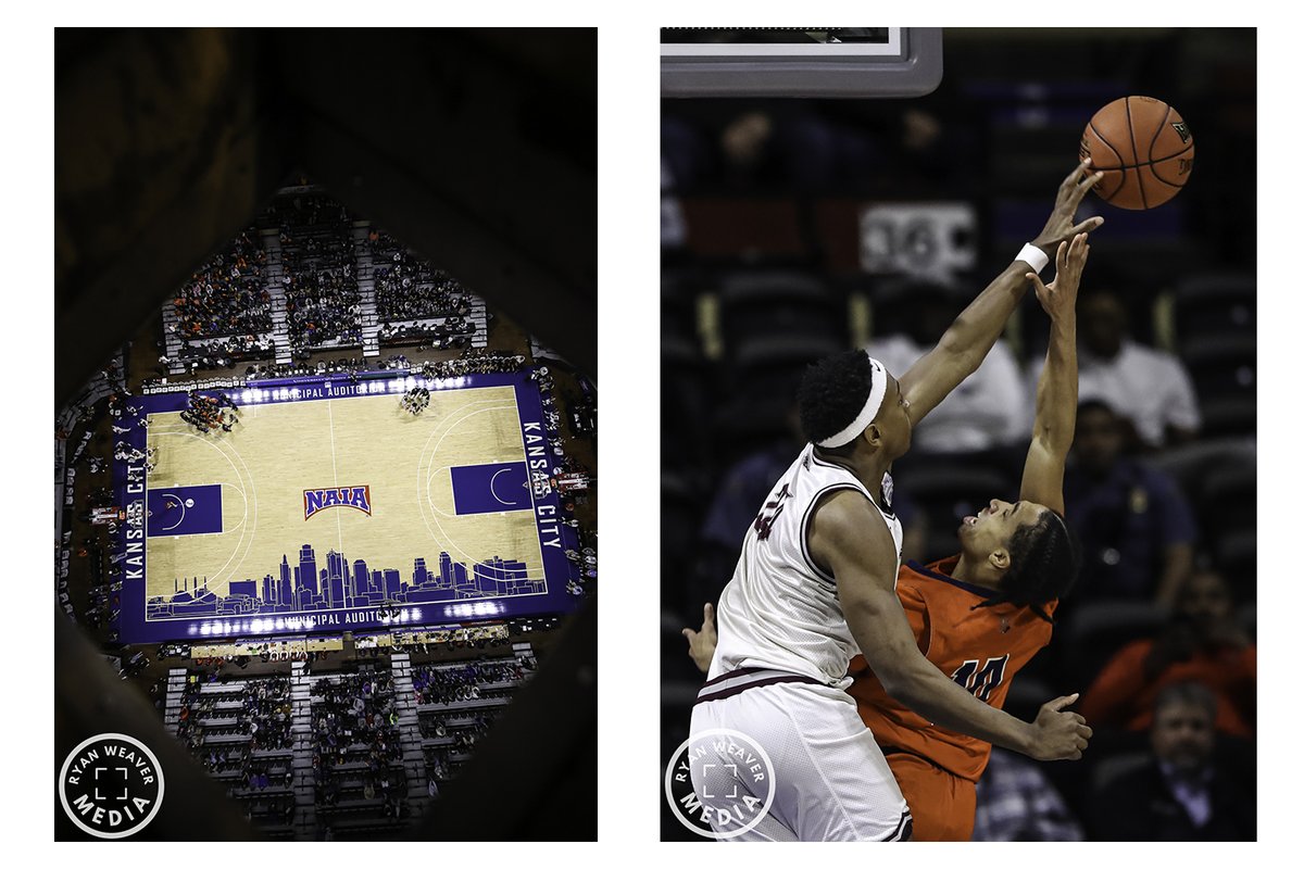 Ryan Weaver Media tweet media