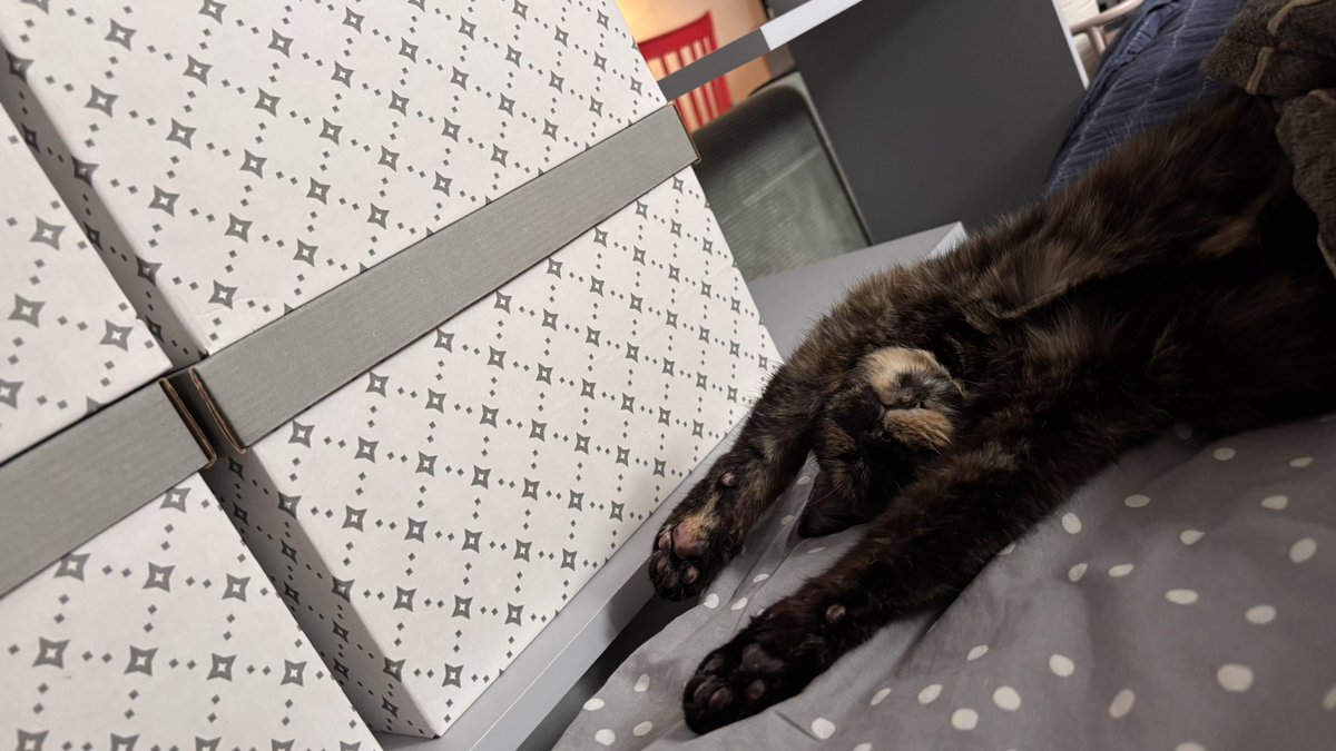 еленочка в темном лесу tweet media