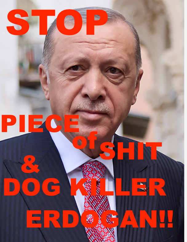 Marcel7733's tweet image. #tourism #BoycottTurkey !! DONT visit this subculture!!
Anyone taking a holiday in shithole #Turkey should be ashamed of themselves!! Mass killer @RTErdogan start the biggest #genocide in history. @trpresidency @MFATurkiye @cnnturk @bbcturkce @herkesicinCHP @cumhuriyetgzt