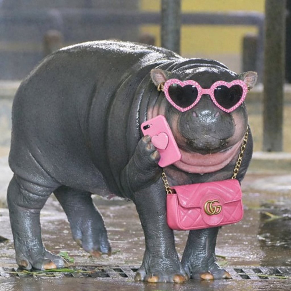 Celstial Mayor tweet media