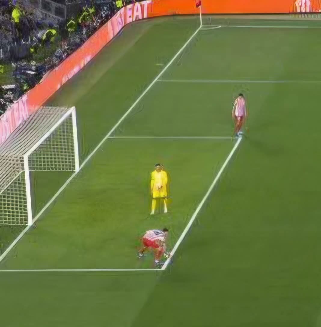 Newsy.Sportu tweet media