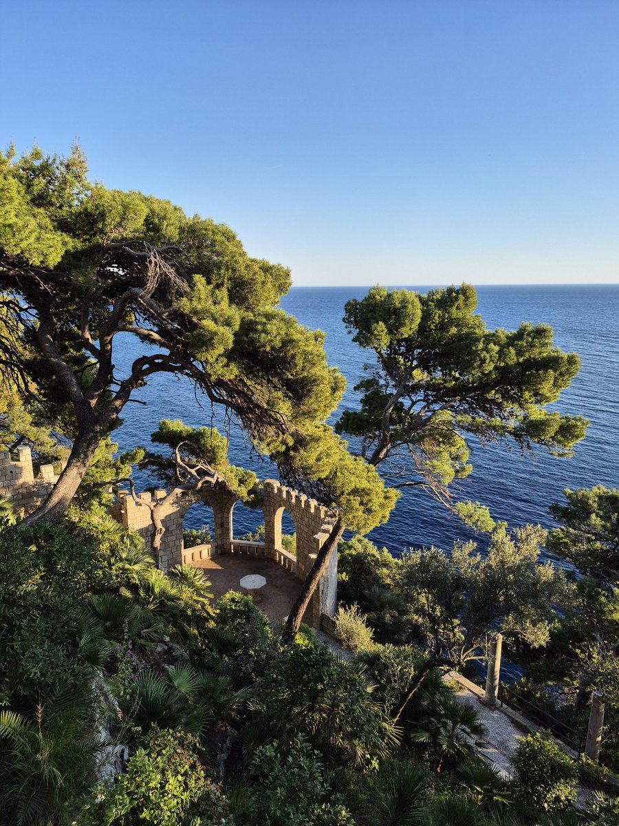 Dubrovnik tourist guide tweet media