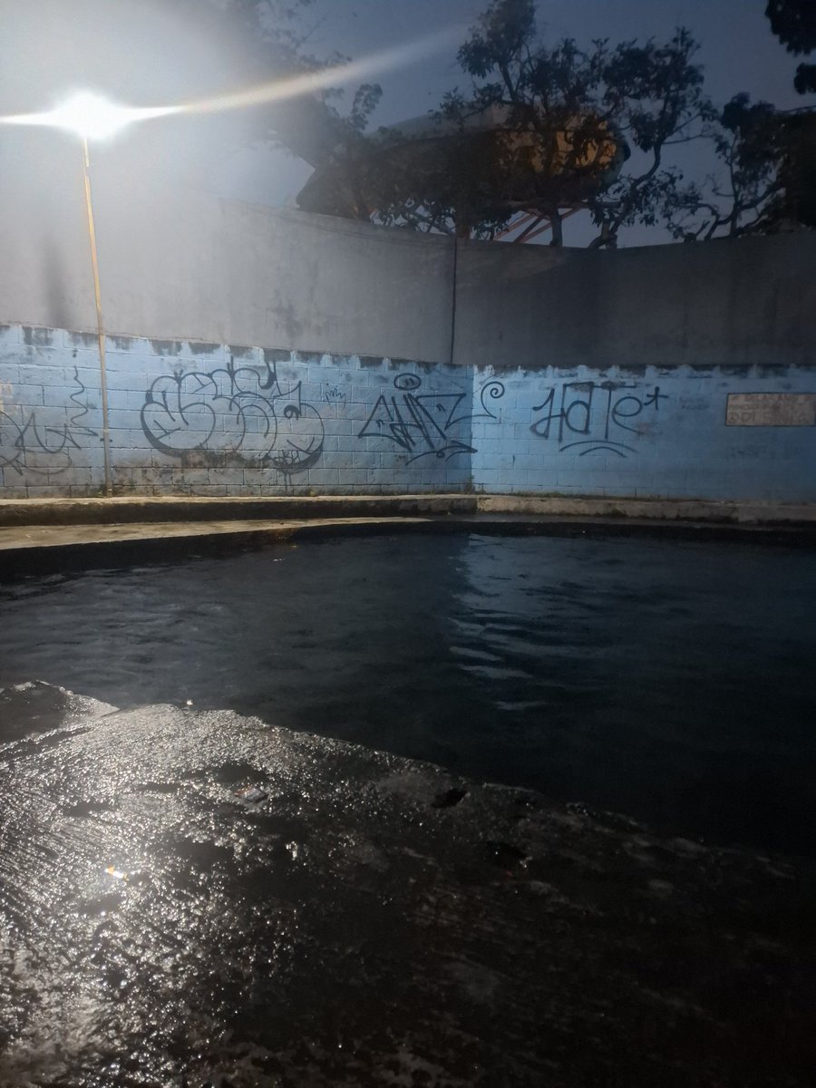 Frans di6 tweet media