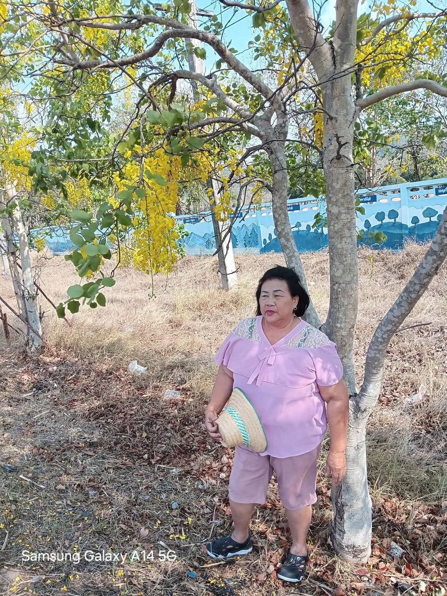 แอบบบบ tweet media