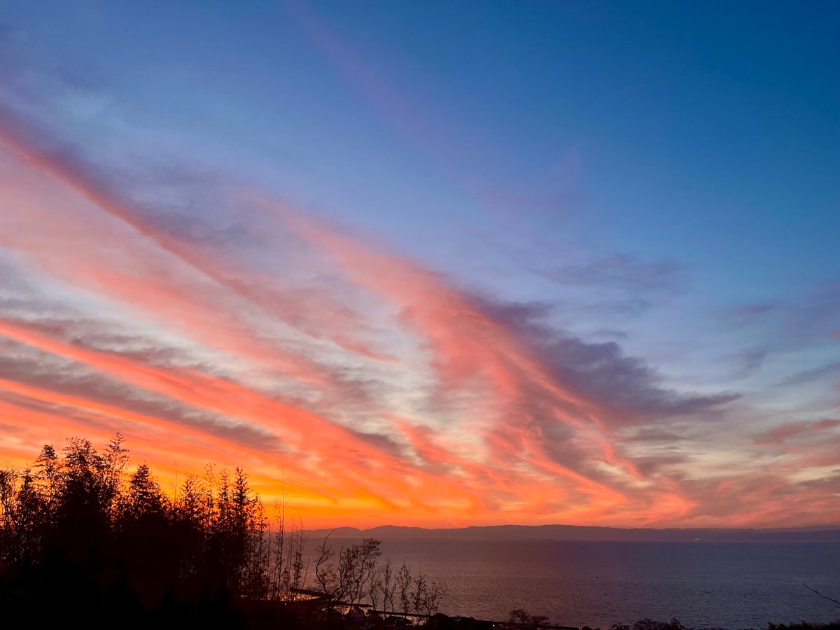 ミヤノクラ(リゾバ中) tweet media