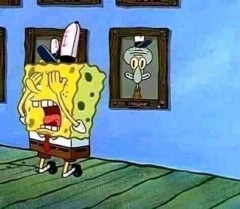 sar 🐟 tweet media