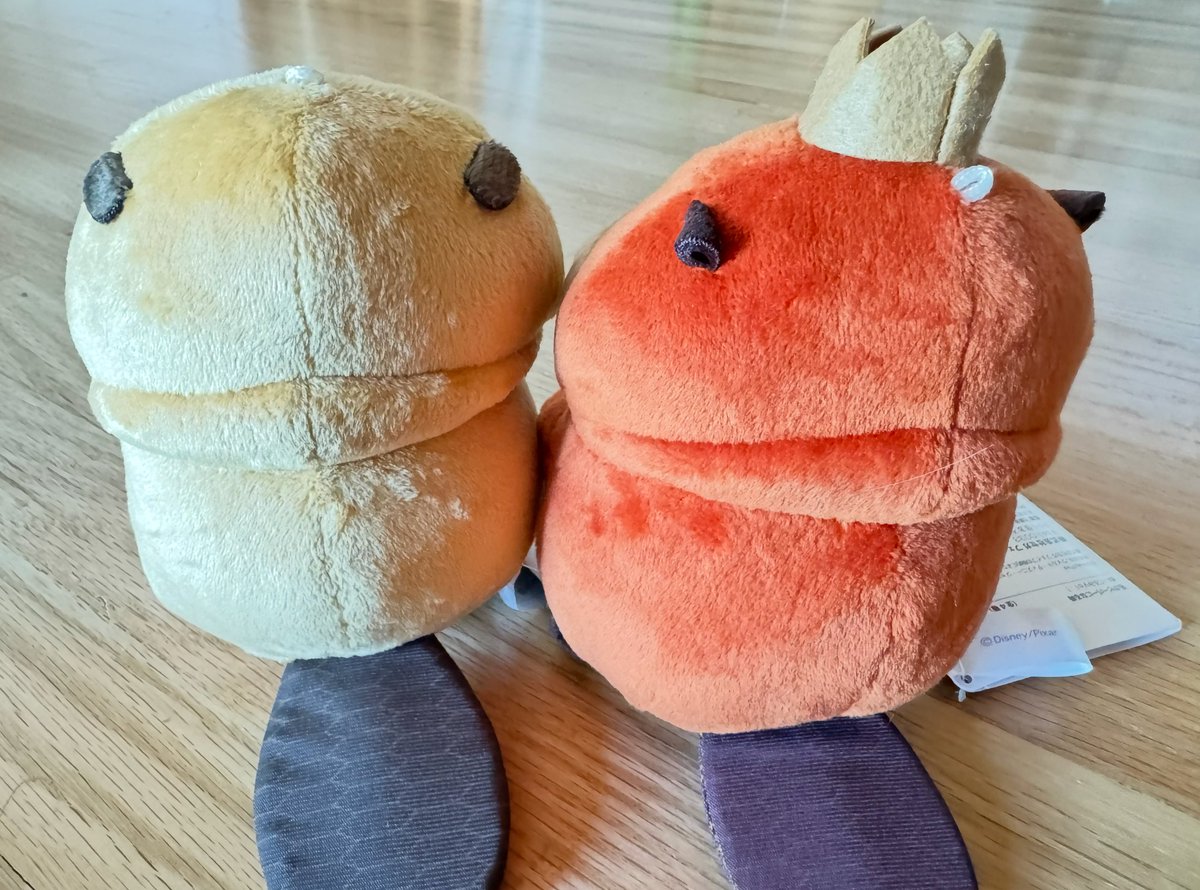 Daniel Chong tweet media