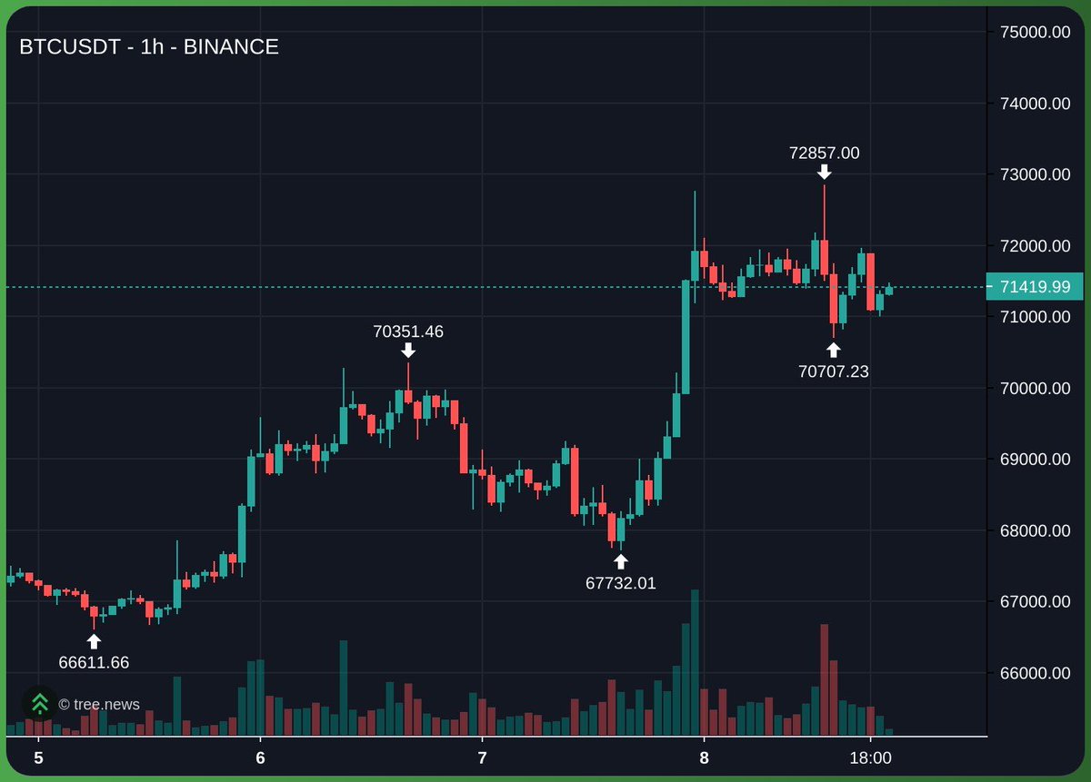 Castillo Trading tweet media