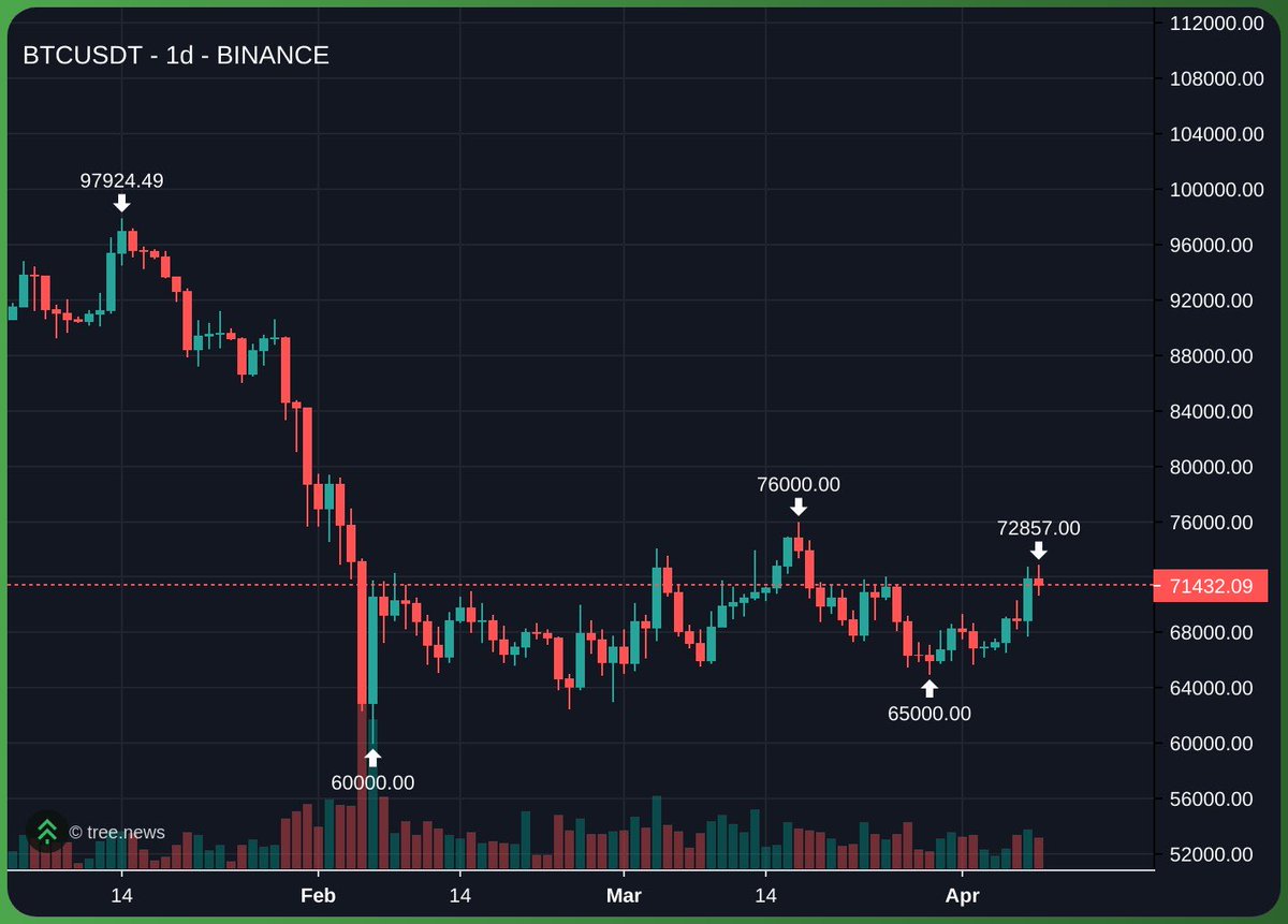 Castillo Trading tweet media