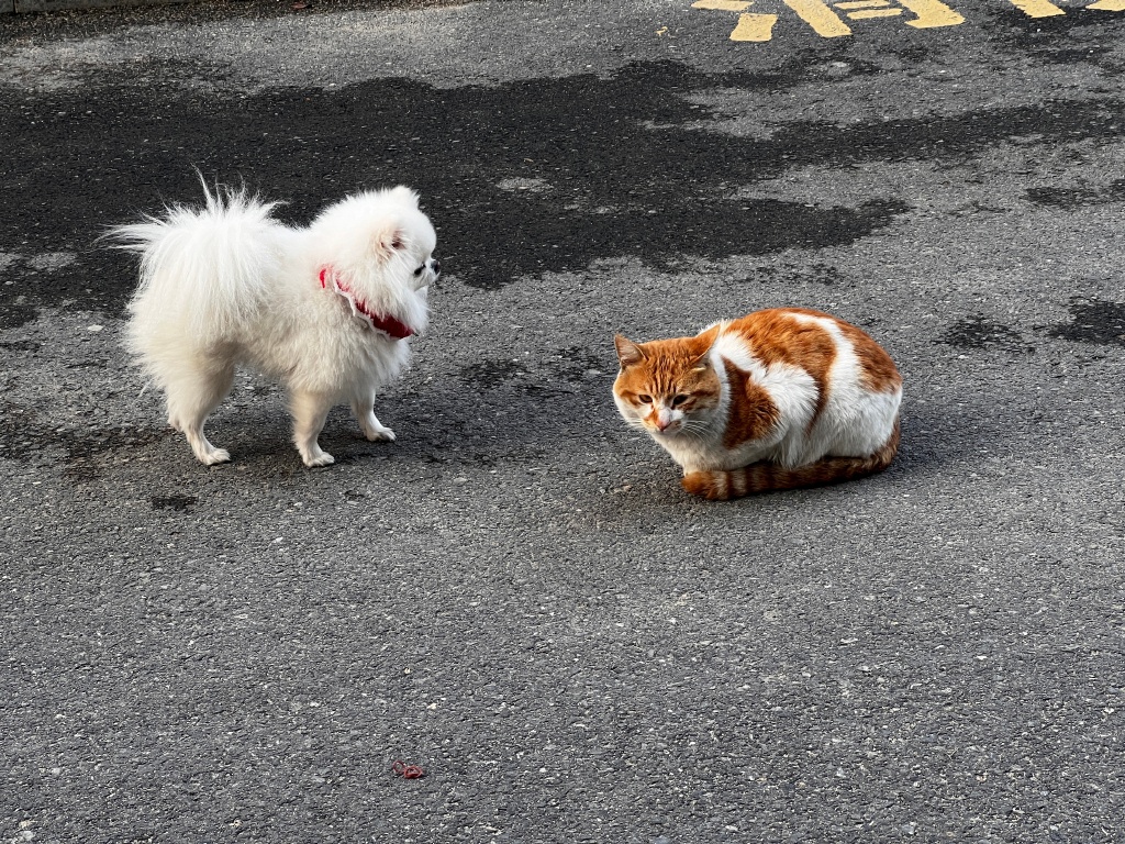 Flormstn tweet media