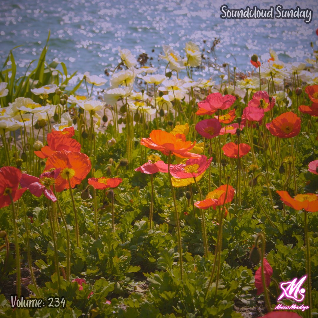 Music Mondays tweet media