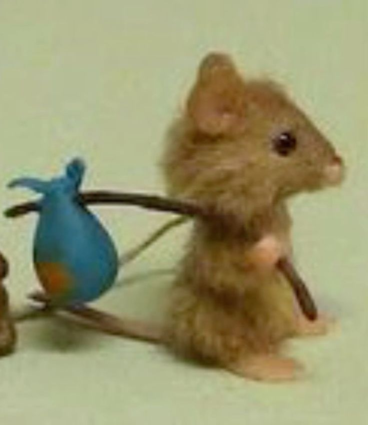 tuana✶ tweet media